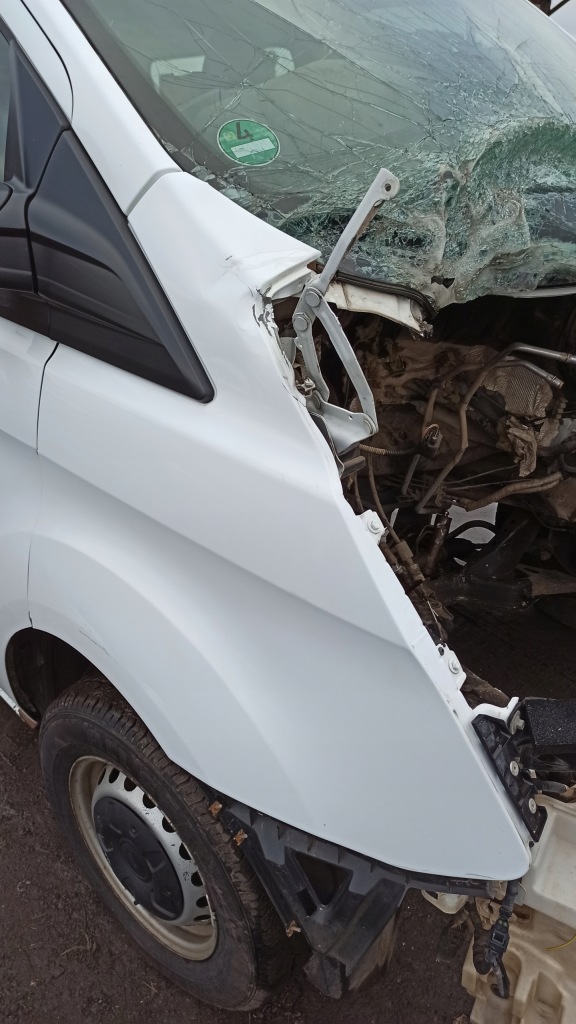 фото №3, Крыло правый перед ford transit custom 17