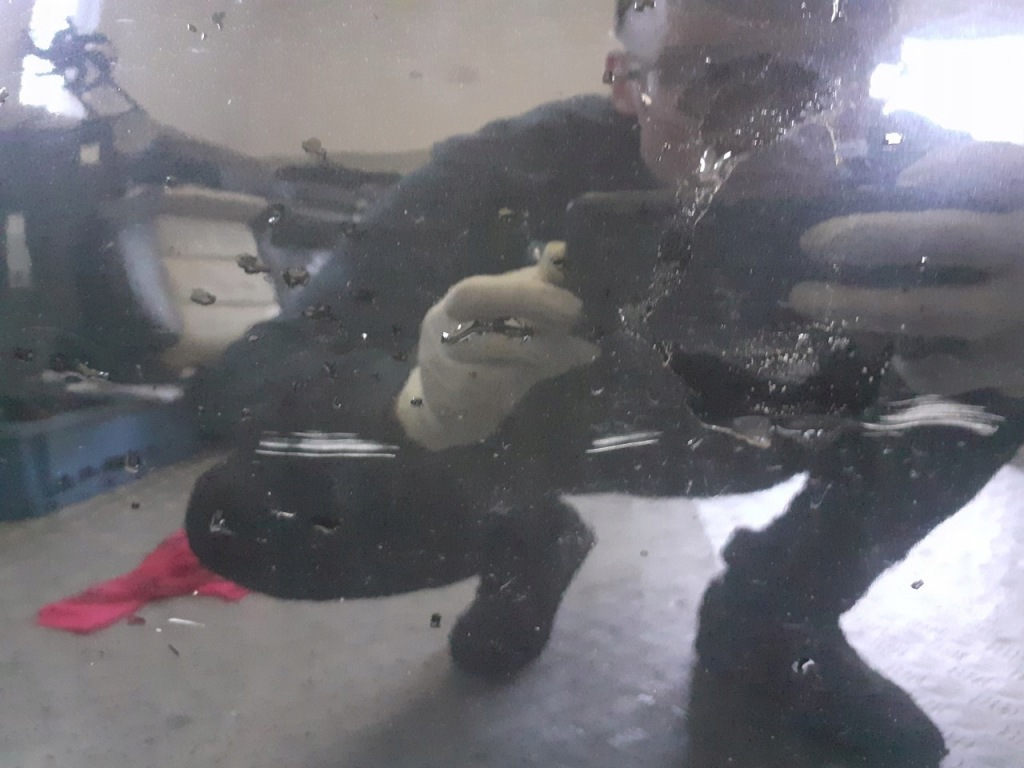 фото №9, Дверь левый перед audi a6 c6 lz9y