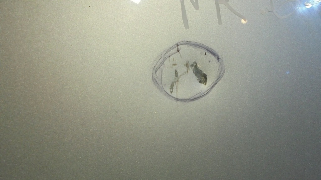 фото №9, Капот перед bmw 3 e90 e91 04-08