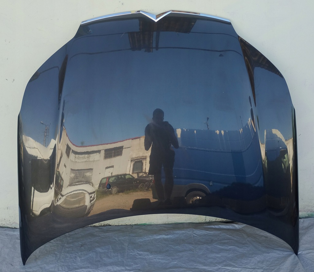 фото №10, Капот citroen c5 iii x7 08-18 состояние bdb eypc