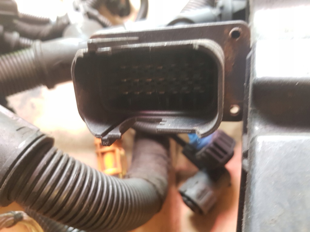 фото №5, Жгут электропроводка двигателя d2066 man 81254246188