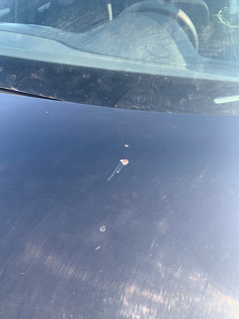 Skoda octavia 2 mk2 капот крышка двигателя - lf9r Киев