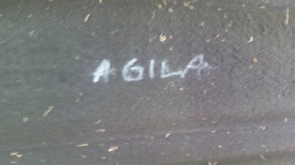 фото №7, Opel agila b suzuki splash полиця багажника