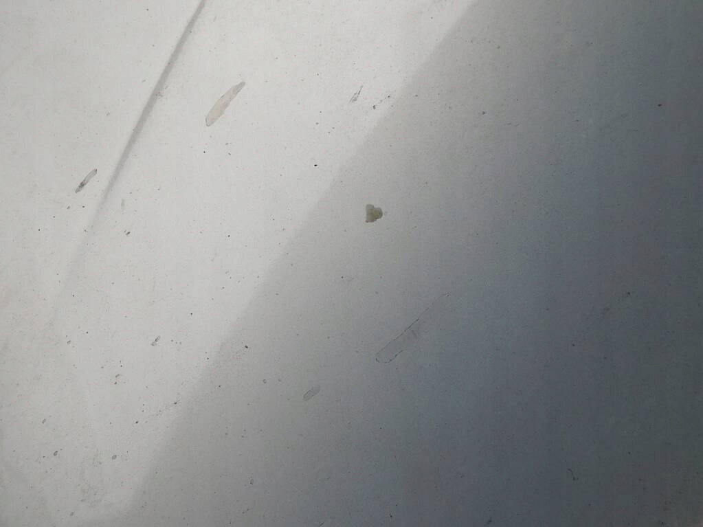 фото №10, Ford galaxy 1.9tdi 00r lift капот