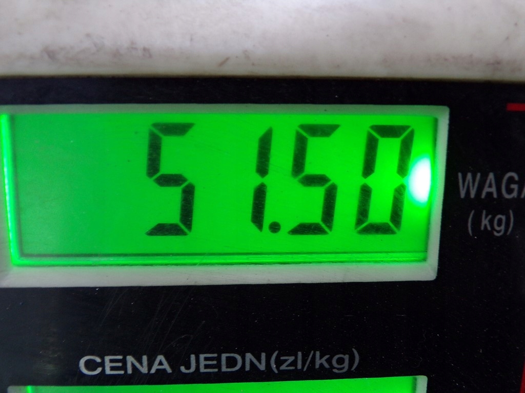 фото №11, Nissan primera p12 1.9dci коробка передач передач ndo101