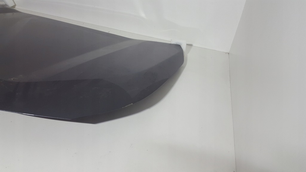 фото №8, Toyota rav-4 19- капот колір 1g3