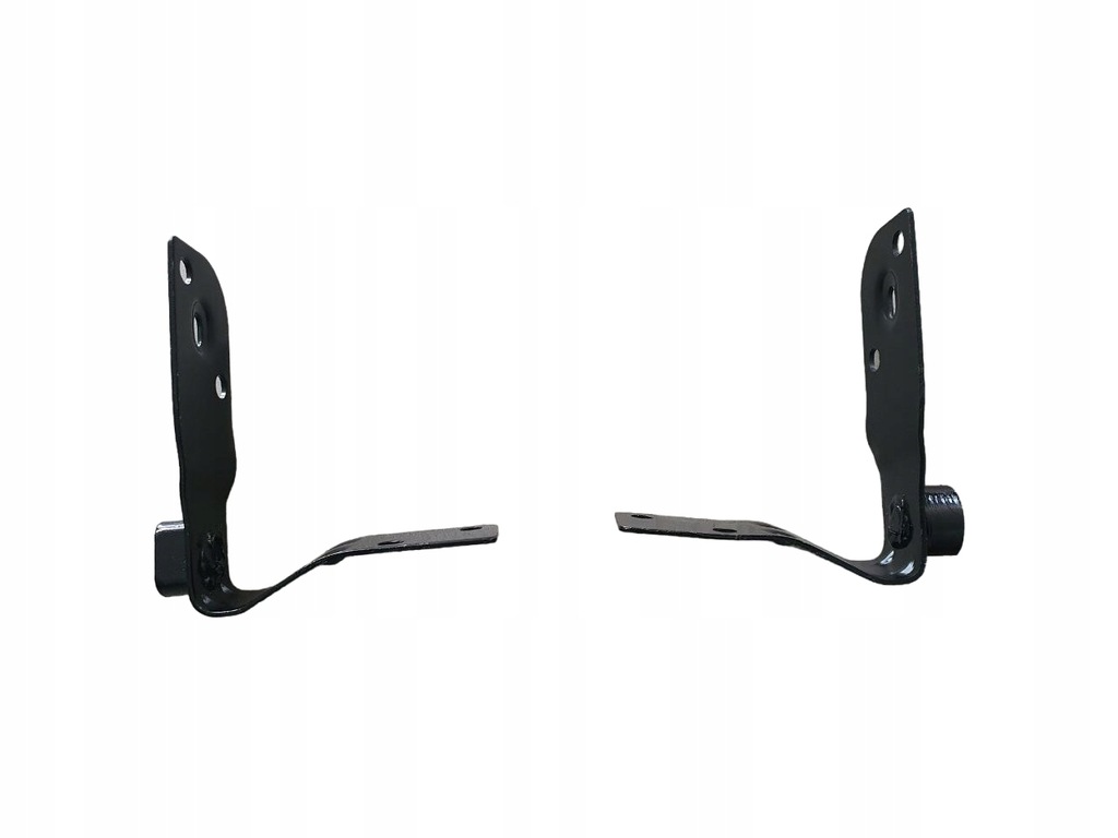 фото №1, Петлі кришки кузов dodge ram 1500 2019 комплект