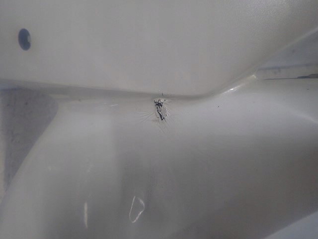 фото №6, Бампер перед передній toyota chr ch-r 2016-