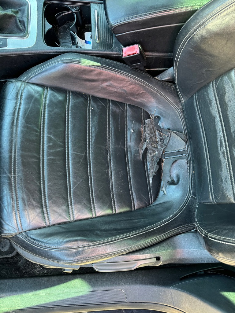 фото №5, Vw passat cc комплект сидінь обшивка дверей двері обшивки сидіння сидіння заднє сидіння