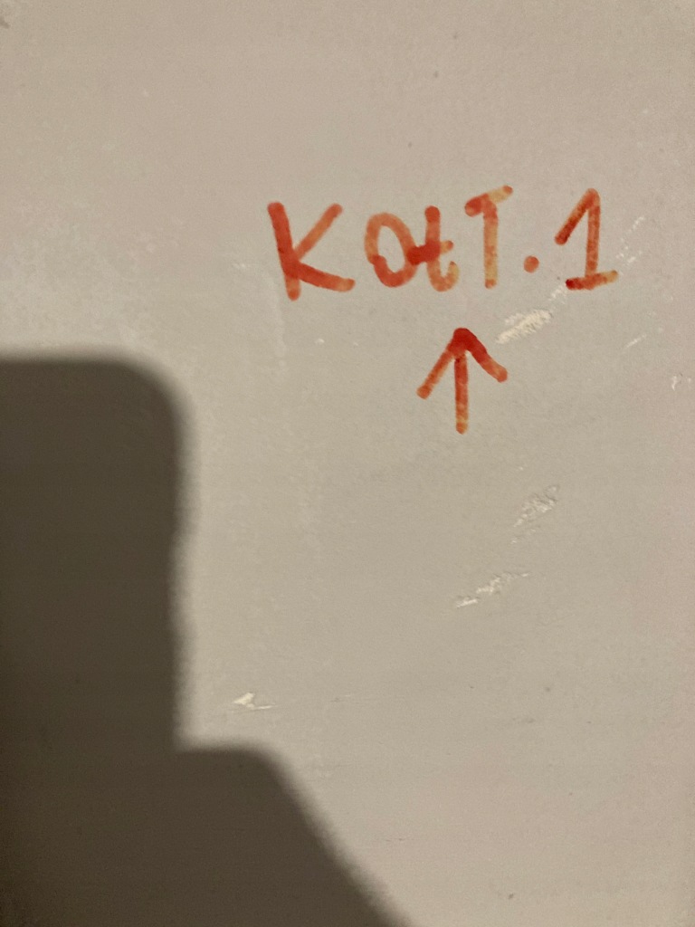 фото №6, Оригінальний номер bmw молдинг бічна права передньої скло bmw x3 g01 51137399032