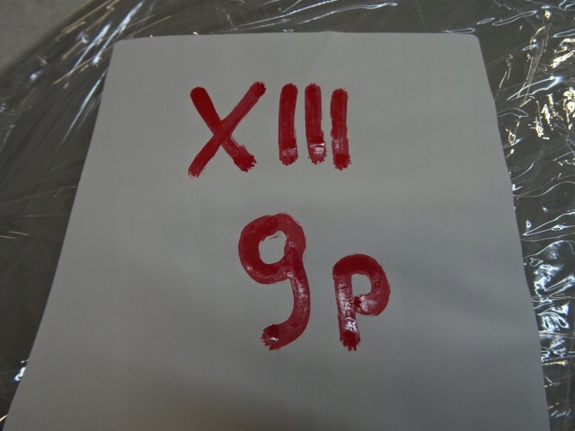 фото №8, Citroen c3 iii захист стійка багажника ліва задня 9812590977