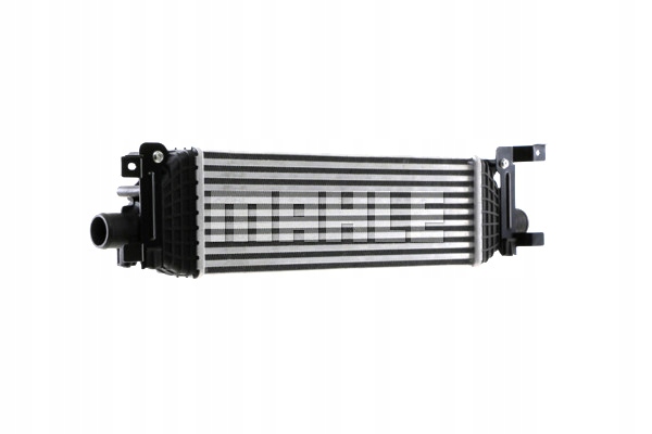 фото №11, Ford fiesta v fusion tdci mahle