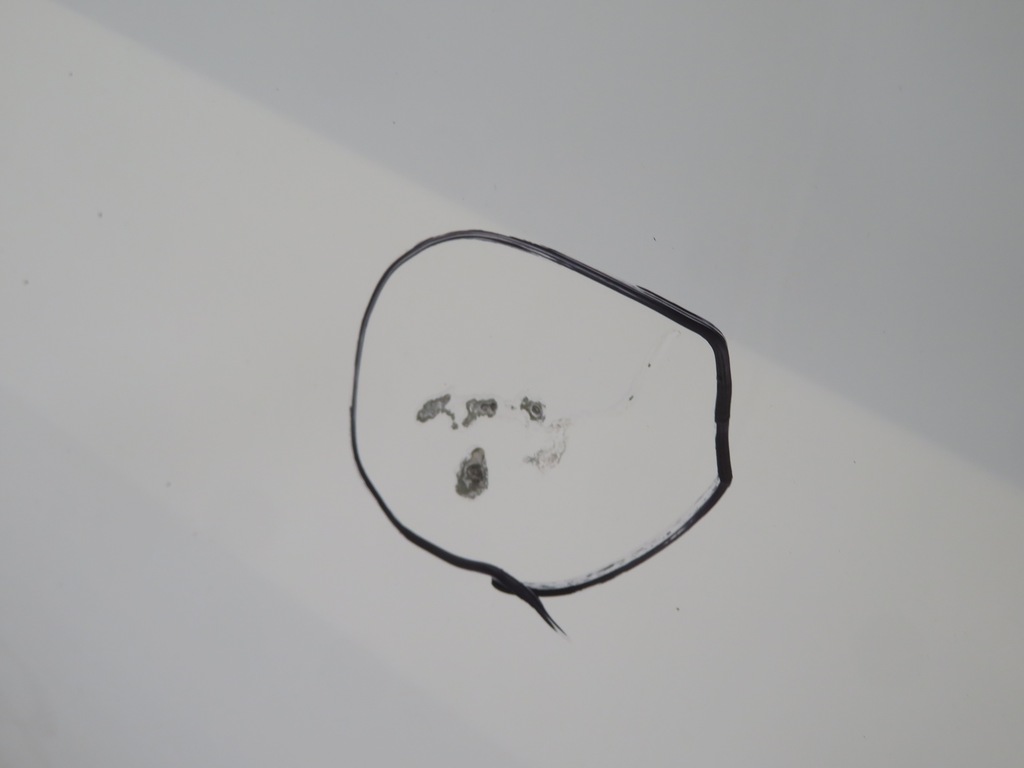 фото №4, Дверь правый перед ford transit mk7