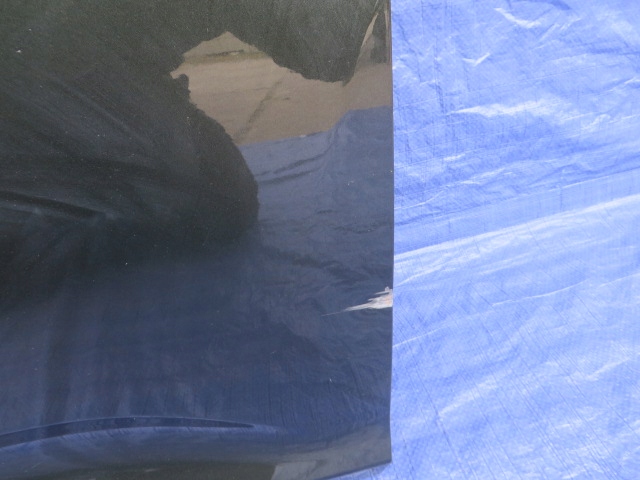 фото №10, Lexus rx 450h дверь передние правое перед