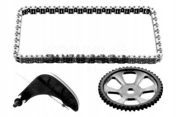 Купити Swag привід ланцюговий комплект  насоса ole ланцюг, napi + асистент водія #28