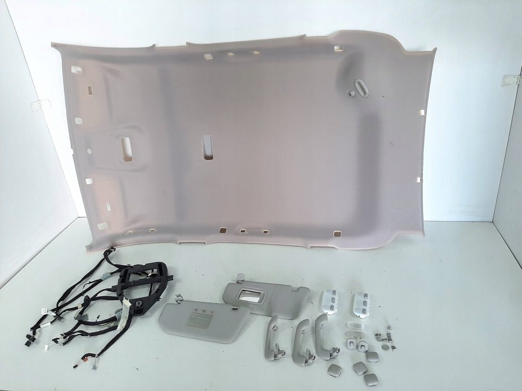 фото №2, Renault scenic iii lift xmod 13r стеля козирки ручки ліхтарі