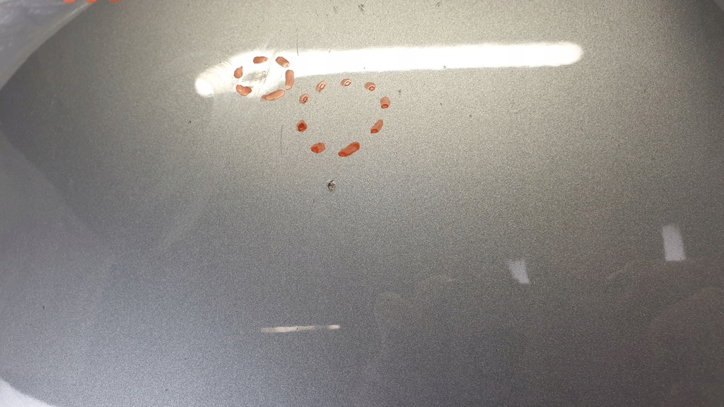 фото №13, Mercedes slk r171 w171 капот крышка двигателя