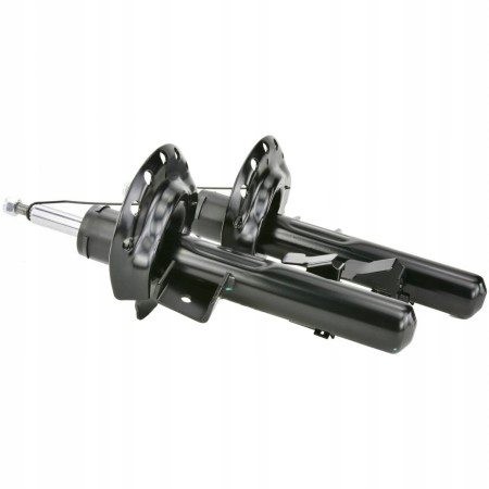 фото №1, Амортизатор febest 21110-007f-kit