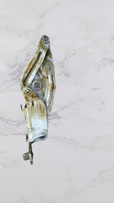 фото №1, Петля капот renault scenic 2.0b 03r