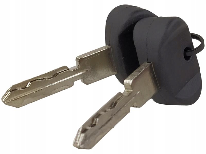 фото №15, Циліндр замикається, блокування запалювання febi bilstein 17690