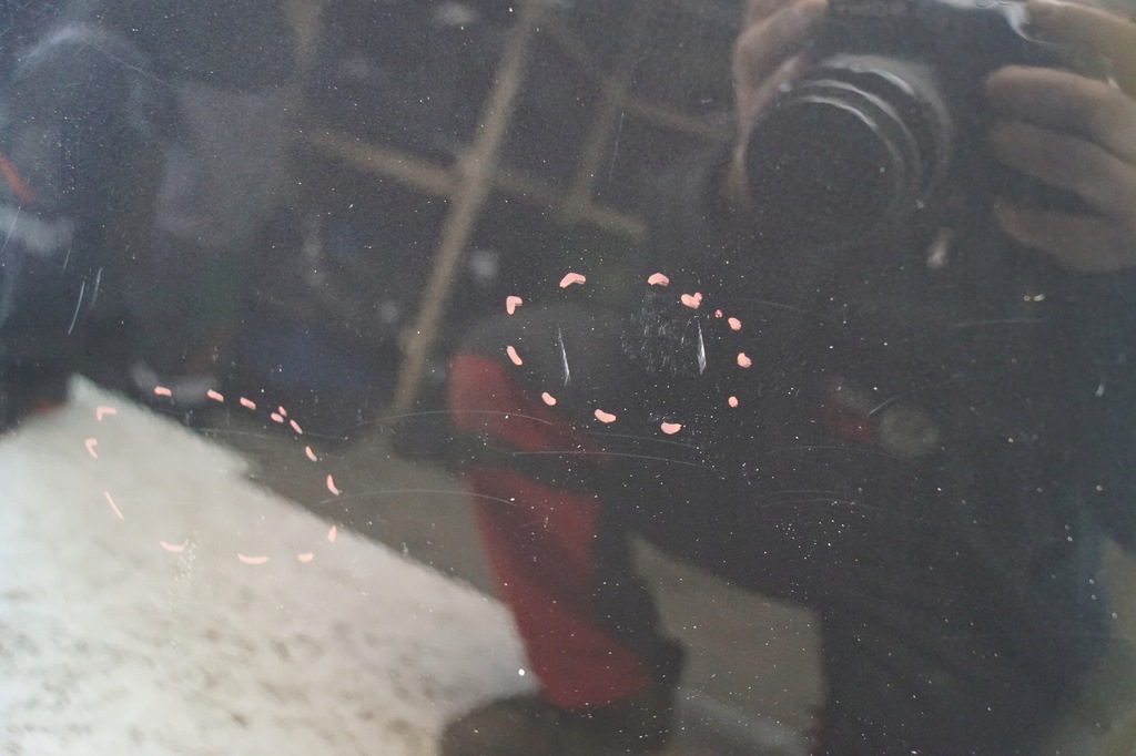 фото №10, Дверь правый задняя citroen c3 picasso exld