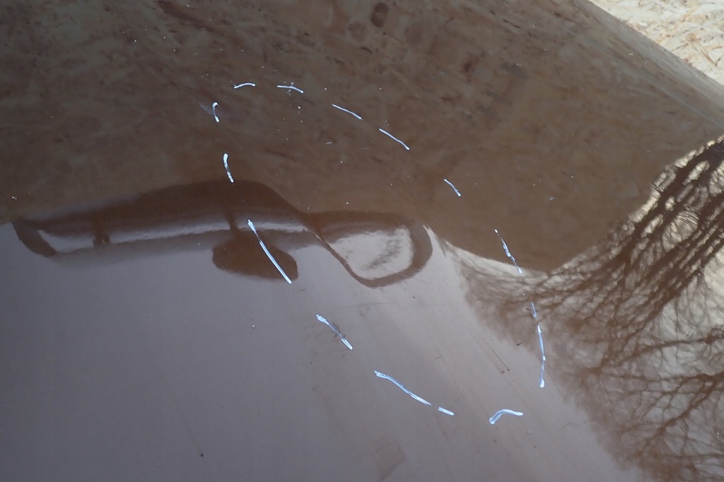 фото №11, Двері ліва лівий задня задні dacia duster i 2010-2017