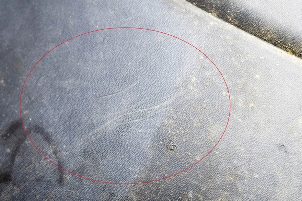 фото №9, Renault kangoo express mk2 x61 бампер задний 8200436722g 8200436722 2019