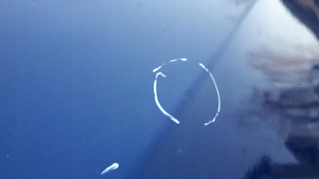 фото №12, A4 b8 s4 lift дверь правый перед передние lx5q