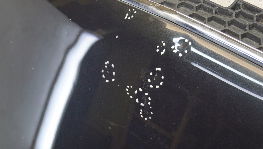 фото №10, Капот крышка перед chevrolet captiva