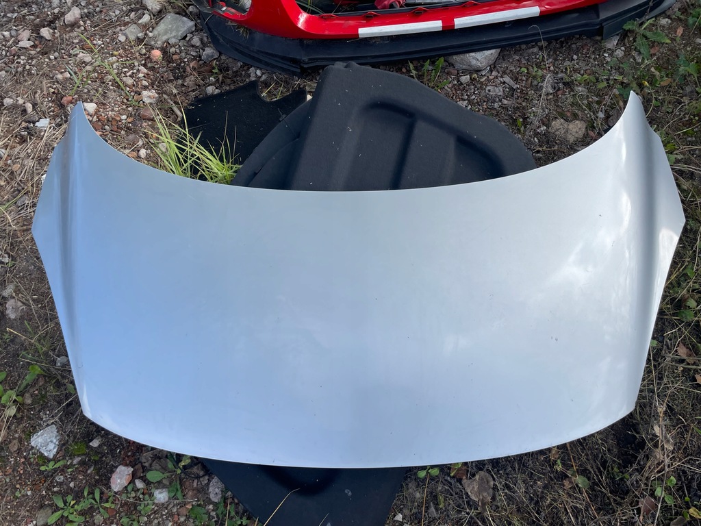 фото №1, Капот scenic iii ted69