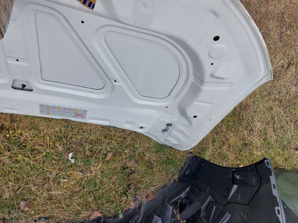 Капот перед dacia spring 651207750r 21-24 Київ