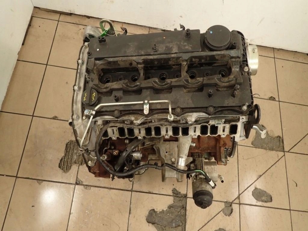 фото №1, Двигатель ford ranger 3.2 tdci ensa замена бесплатно