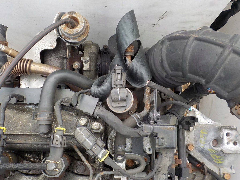 фото №10, Ceed i i30 09r 1.6 crdi 116km euro4 двигун d4fb kompletny автоматична коробка передач