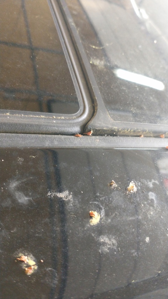 фото №7, Mini clubman f54 люк панорама крыша