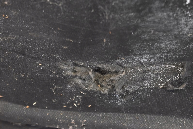 фото №15, Капот крышка двигателя niebieska dodge magnum chrysler 300c 03-08