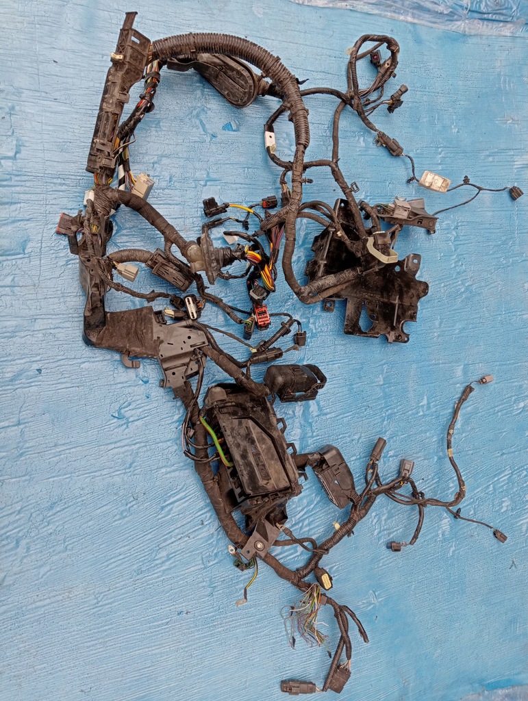 фото №1, Ford edge ii 2.0 дизель джгут двигуна