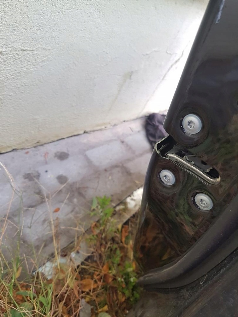 фото №9, Двері правий перед infiniti fx 30d