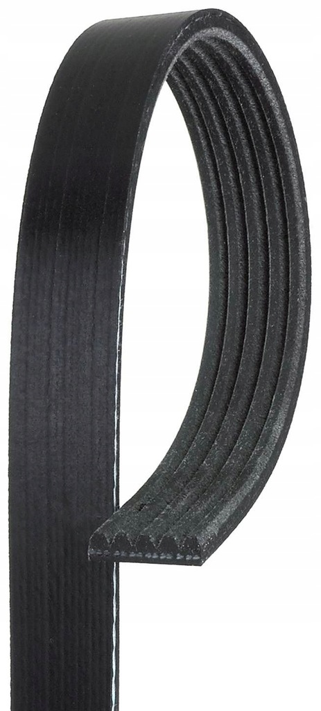 фото №1, Ремінь багатореберний acura legend 91-95 honda accord