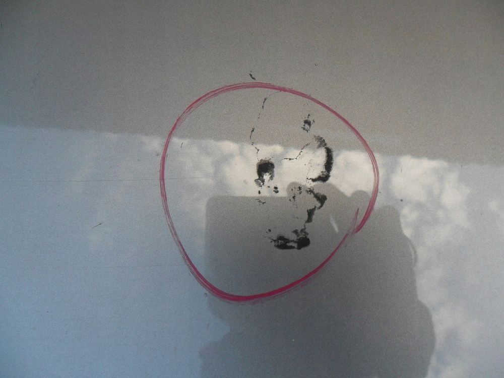 фото №10, Nissan primera p12 2001- капот