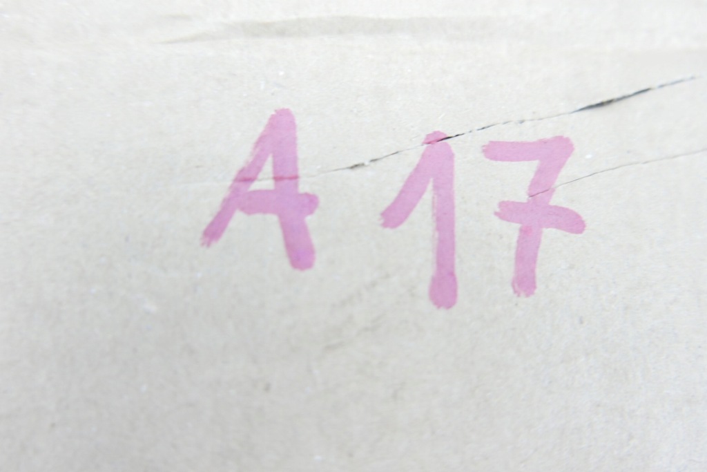 Кліпси до монтажу кришки опори citroen 6999.f5 Зі Шроту