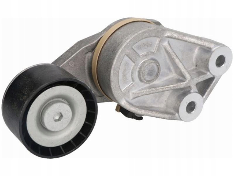 Купить Натяжитель ремень клиновой dayco apv1117