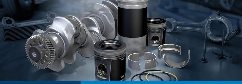 Пластина клапанів kolbenschmidt Доставка