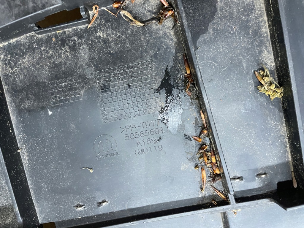 фото №3, Alfa romeo tonale плита захист pod бампер 50565601