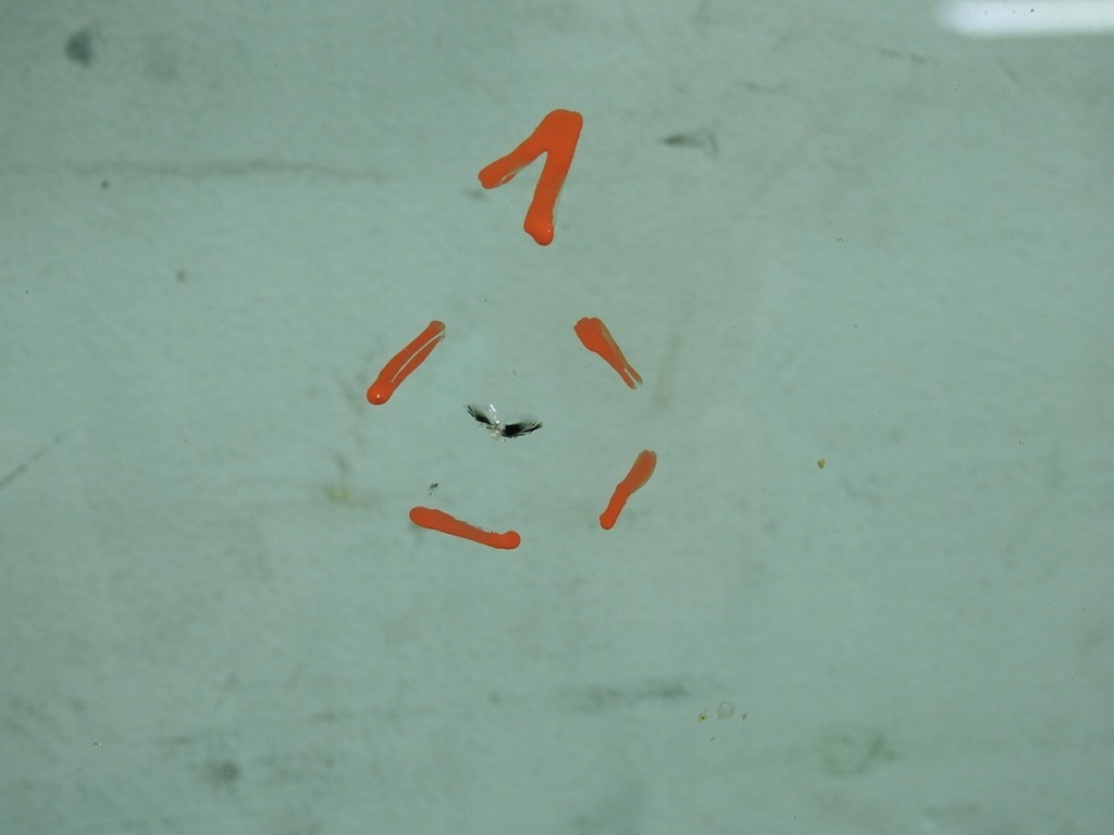 фото №5, Стекло передняя лобовое citroen c3 picasso