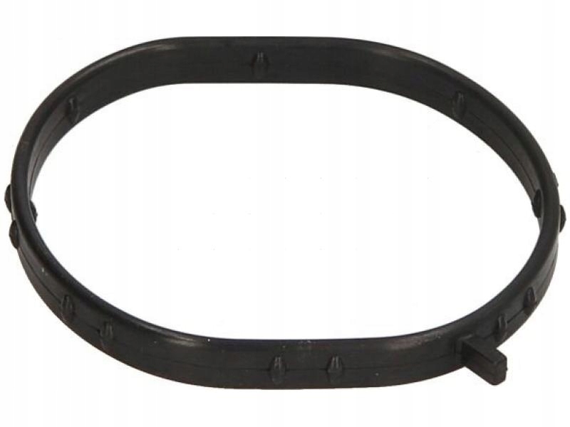 фото №1, Прокладка термостата