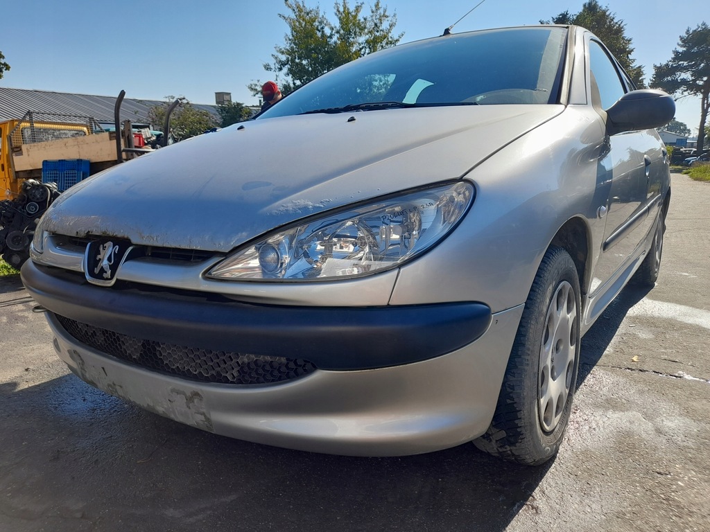 фото №14, Peugeot 206 lift двері лівий задня ліва задні etsc