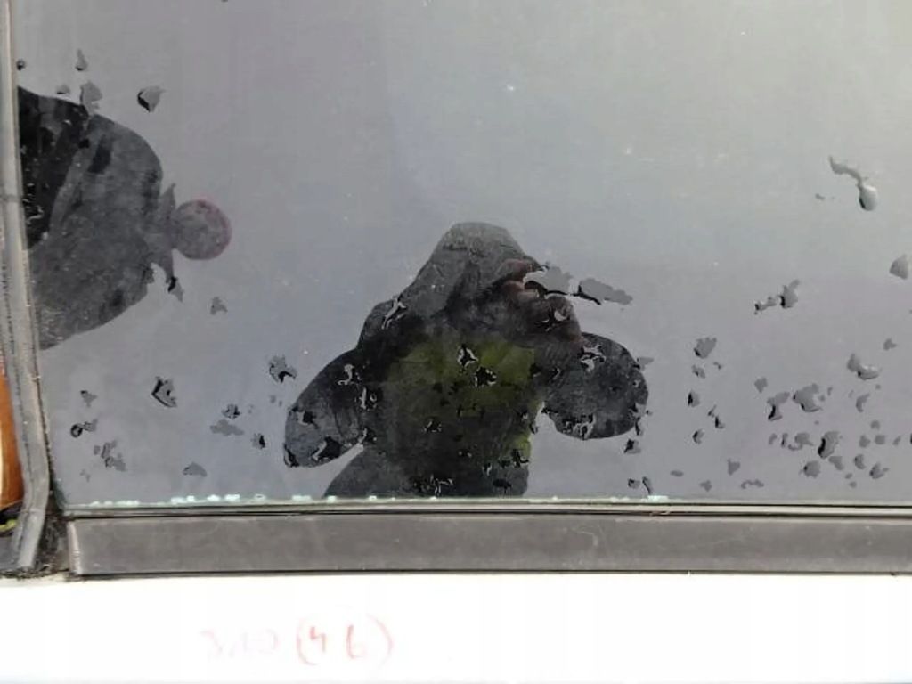 фото №10, Крыша стеклянный панорама nissan qashqai j10 06-09r. k54 g