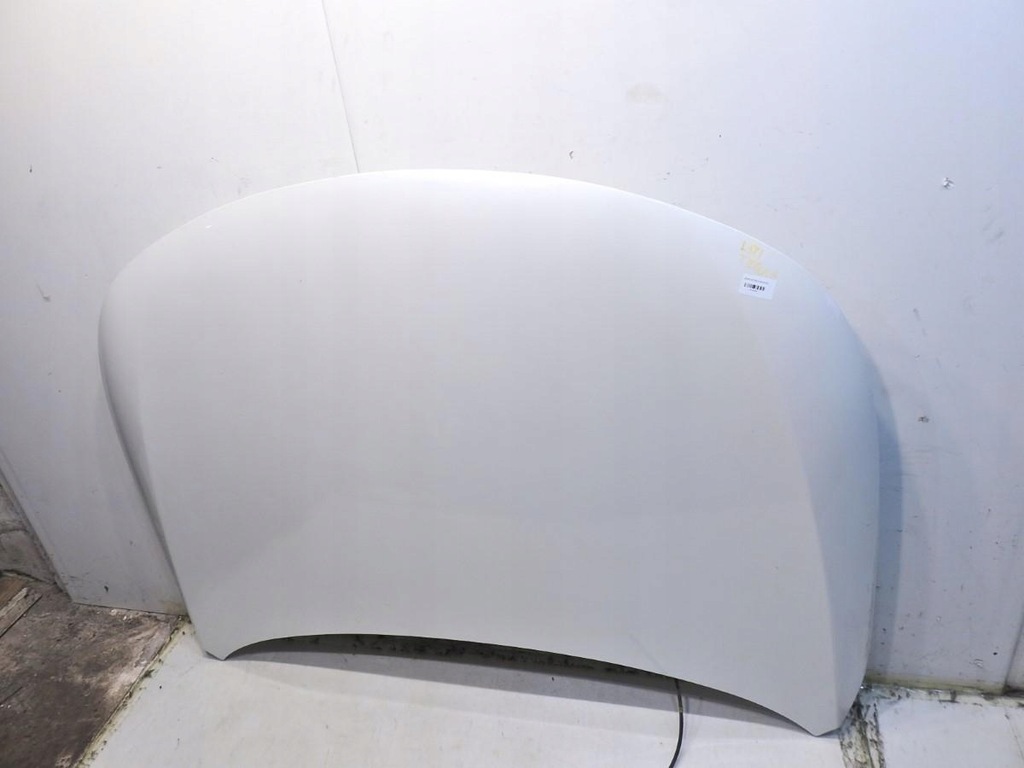 фото №10, Капот teqxa renault latitude