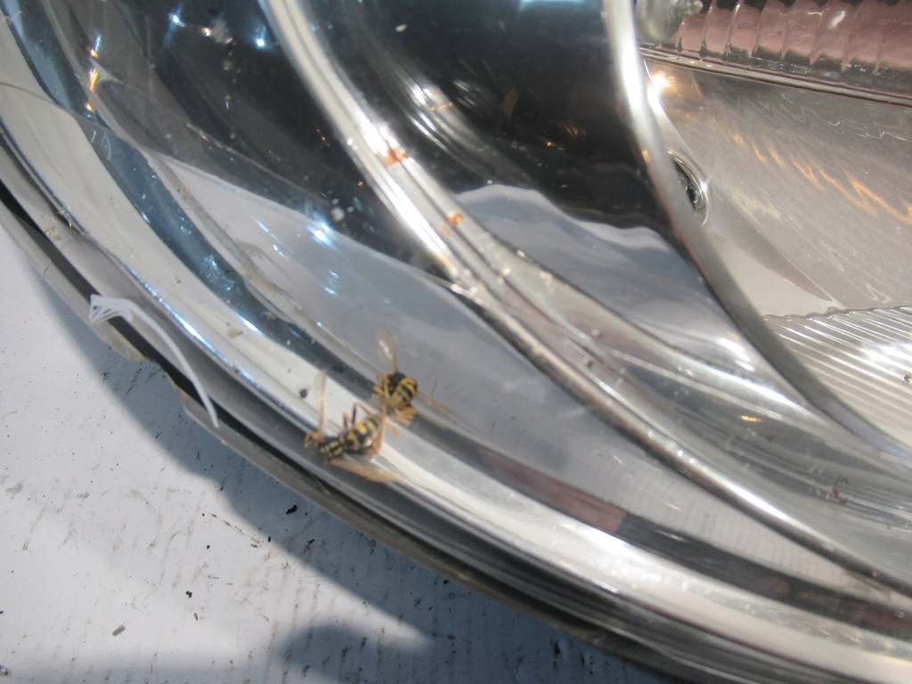 фото №7, Лампа перед правая peugeot 107