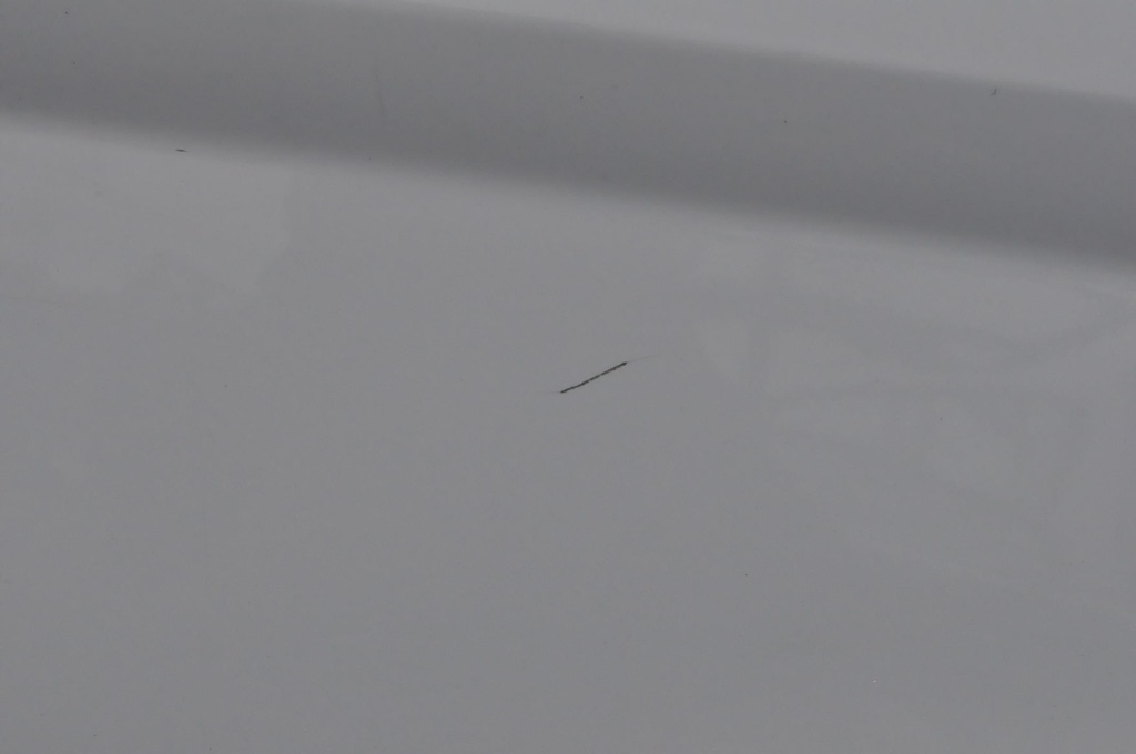 фото №8, Ford transit connect tourneo ii дверь левый задняя задние боковой раздвижные